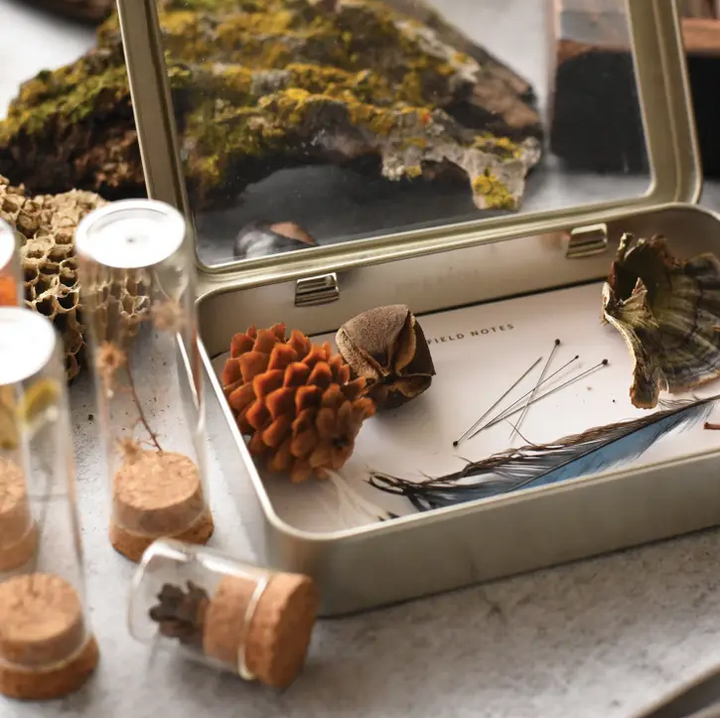 June &amp; December Specimen Collecting Kit