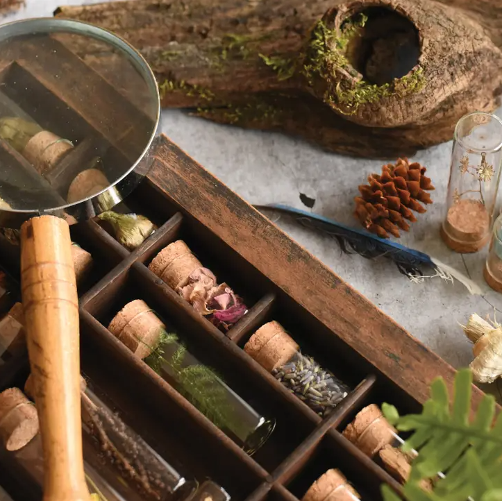 June &amp; December Specimen Collecting Kit