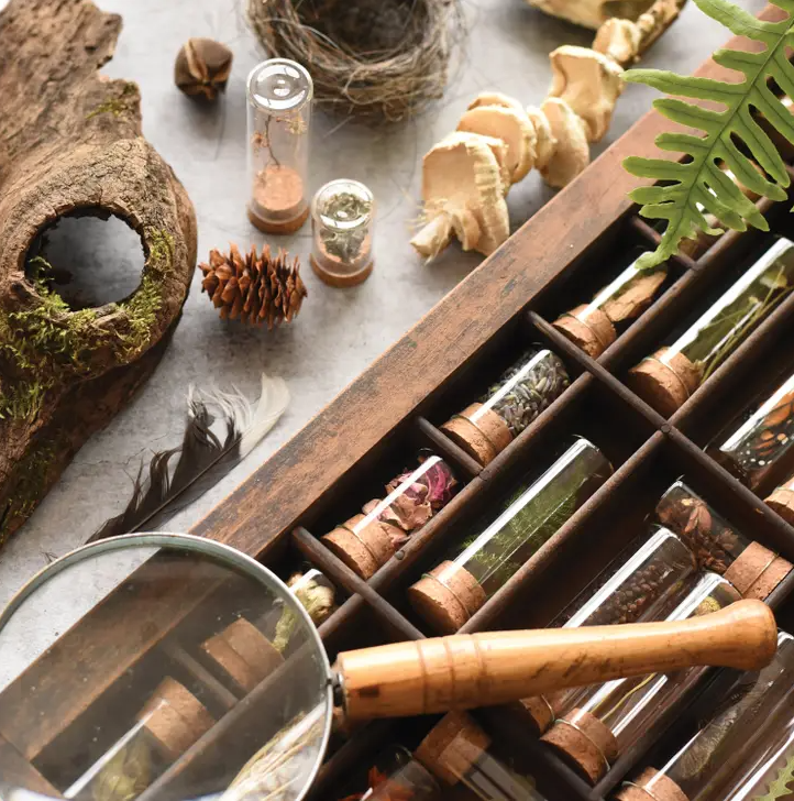 June &amp; December Specimen Collecting Kit
