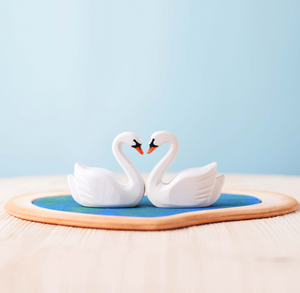 Swan & Cygnets
