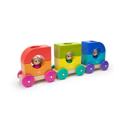 Tegu Magnetic Tram